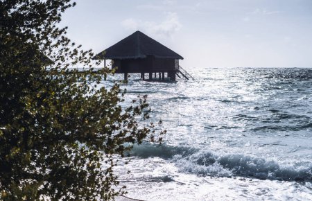 Téléchargez les photos : Un bungalow luxueux avec un toit de chaume, entouré par le vaste océan. Au premier plan, un arbre luxuriant offre un contraste luxuriant avec la mer bleue envoûtante, par un jour d'été lumineux - en image libre de droit