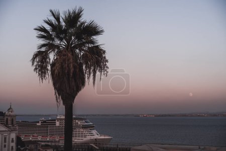 Téléchargez les photos : A low-key view of a gorgeous violet sunset over the massive cruise ship harbored in Lisbon's dockside in the background and in the foreground stands a tall palm tree in selective focus - en image libre de droit