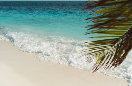 Foto de Una impresionante playa tropical en las Maldivas, donde la arena blanca se encuentra con aguas turquesas. Las olas que se estrellan crean un efecto de espuma marina. En primer plano, una hoja de palma se puede ver arrastrándose en el tiro - Imagen libre de derechos