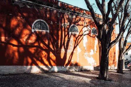 Photo for On a bright, sunny day with a clear blue sky, the facade of an orange house with flaking paint catches the eye. The trees on the sidewalk cast a silhouette that blends into the building's exterior - Royalty Free Image