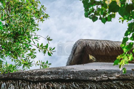 Téléchargez les photos : Le détail complexe d'un toit de chaume traditionnel d'une résidence touristique des Maldives est photographié en gros plan ; Le chaume brun forme un motif texturé et le feuillage vert environnant aide à encadrer la scène - en image libre de droit