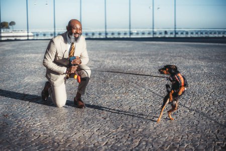 Photo for Selective focus on a bald bearded man with a dog, has one knee on Lisbon's cobblestone pavement and is smiling at the dog that is behaving funny; Holds the leash in one hand; Is wearing a cream suit - Royalty Free Image