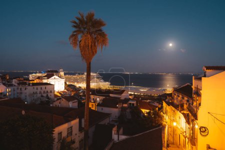 Téléchargez les photos : Vue discrète d'un navire de croisière massif en arrière-plan au-dessus du quai de Lisbonne, un grand palmier au foyer sélectif se tient gracieusement au premier plan, ajoutant profondeur et sérénité à la scène urbaine - en image libre de droit