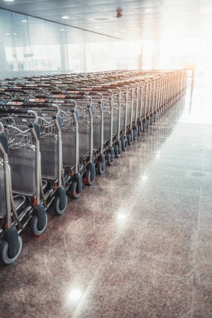 Photo for A vertical shot capturing the bustling ambiance of Barcelona Airport's spacious indoor area; a neat arrangement of numerous luggage carts lined up. The backdrop glows with strong light from windows - Royalty Free Image