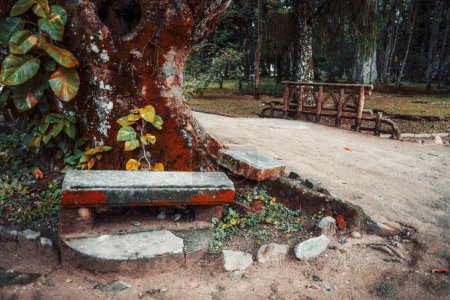 Foto de Una encrucijada de dos caminos de tierra en un parque público tropical con un banco de piedra en primer plano; la intersección de dos caminos de tierra en una selva tropical con un pequeño puente y su esgrima en el fondo - Imagen libre de derechos