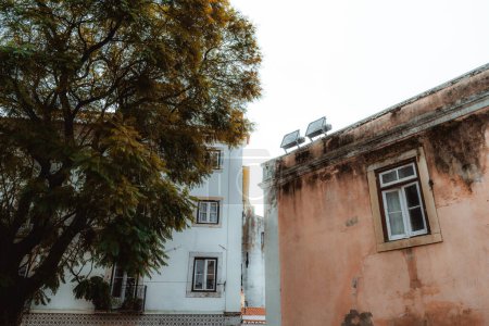 Téléchargez les photos : Vue de deux puissantes lampes halogènes sur le toit d'un ancien bâtiment à paillettes dédié à l'éclairage des façades d'autres maisons antiques de Lisbonne sur la colline au-dessus ; un bel arbre à droite - en image libre de droit