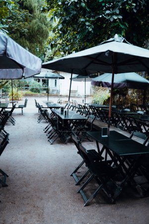 Secluded outdoor cafe nestled under umbrellas in a shady park setting, offering a tranquil dining environment. Empty tables await visitors, promising a peaceful escape amidst lush greenery