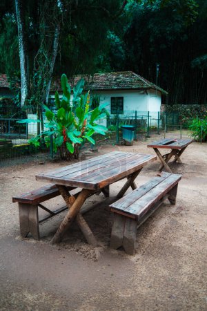 Vertical shot of a set of two long wooden tables with outdoor picnic benches on the unpaved surface in a tropical park with an old modest house in the back and a rainforest in the background