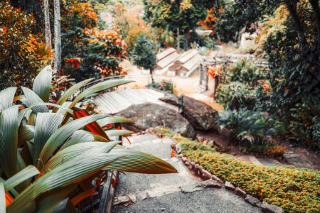 Selective focus on lush green leaves in the foreground with a blurred view of a beautiful garden pathway leading to small wooden structures in the background of a park or a botanical garden