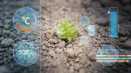 Photo for Analyzing data from a fresh plant sprout, Smart farming concept - 3D HUD overlay - Royalty Free Image