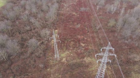 Foto de Red aérea de distribución eléctrica compuesta por líneas eléctricas entre torres eléctricas - Imagen libre de derechos