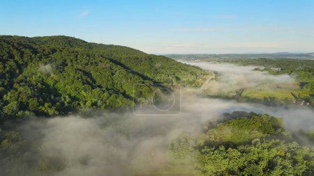 Aerial above sea of clouds and green wild natural jungle forest during a sunny day with clear blue sky and mountains landscape on the background