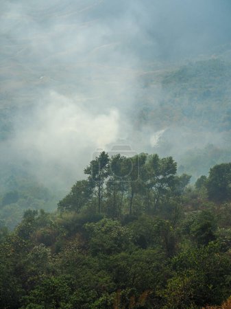 Photo for Forest Fire and White smoke or wildfire from fire on the mountain hill of village farm or plantation near the forest in Thailand, Asia. Unhealthy air pollution during the dry season, due to forest and agricultural burning. - Royalty Free Image
