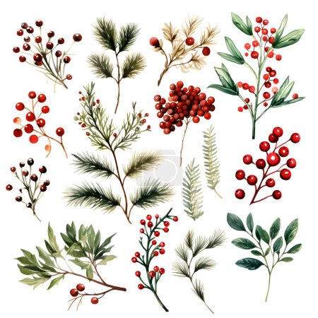 Ilustración de Retro navidad rama conjunto acuarela, gran diseño para cualquier propósito. ilustración botánica vectorial. - Imagen libre de derechos