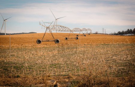 Nachhaltige Landwirtschaft: Windräder und Bewässerung auf abgeerntetem Feld.
