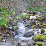 A stream of water flows through a rocky area with moss growing on the rocks. The water is clear