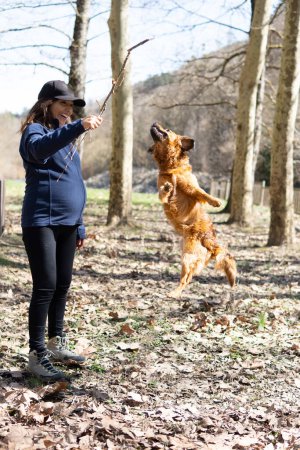 Téléchargez les photos : Une femme joue avec son chien dans un parc. Scène est heureuse et ludique - en image libre de droit