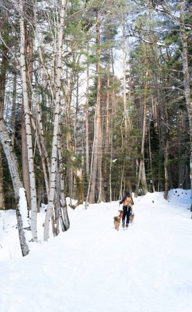 Téléchargez les photos : Scène paisible et sereine, car la personne et ses chiens apprécient la beauté de la nature dans le paysage hivernal - en image libre de droit