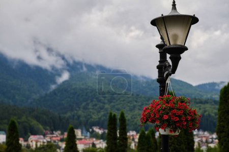 Foto de Olla exterior con flores en el jardín, con las montañas Bucegi en el fondo. Castillo de Cantacuzino, Busteni, Rumania. - Imagen libre de derechos