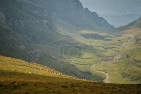 Foto de Hermoso terreno de montaña en el Parque Nacional Bucegi, con un paisaje de montaña con un prado verde, rocas afiladas, y un rebaño de ovejas en el horizonte. - Imagen libre de derechos