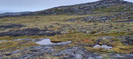 Photo for Greenland, Ilimanaq near Ilussiat, The Eceglacier, Disko Bay, Discobucht - Royalty Free Image