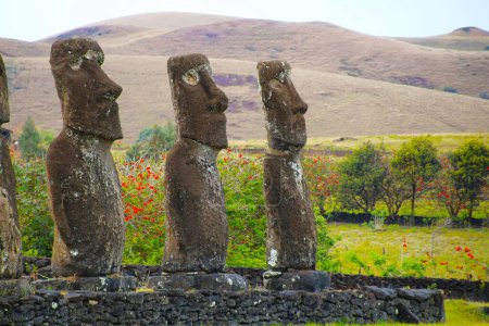 Photo for Moai`s from the Ahu Akivi ceremony facility - The seven scouts from Easter Island, Chile - Royalty Free Image