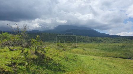 Mount Meru seen from Arusha National Park (Tanzania), December 2022. Dormant volcano hiding behind thick clouds, amid lush green vegetation.