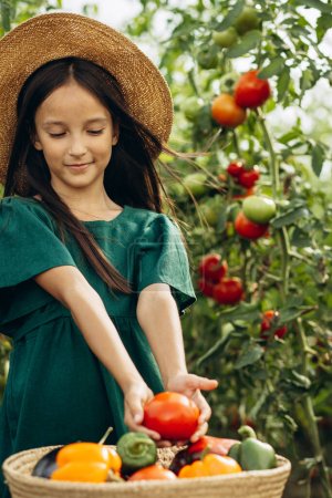 Téléchargez les photos : Fille dans la maison verte avec panier plein de légumes - en image libre de droit