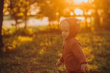 Téléchargez les photos : Mignon petit garçon dans le parc automnal - en image libre de droit