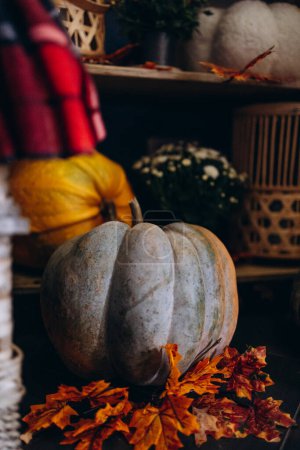 Photo for Pumpkins and decorations by the cabinet shelves decorated with pumpkins and flowers - Royalty Free Image