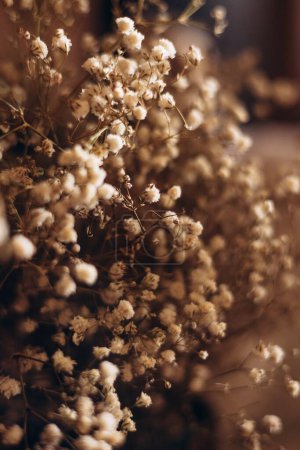 Téléchargez les photos : Belle photo de fond avec des fleurs de gros plan - en image libre de droit
