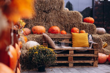 Photo for Wooden bench with seasonal decorations with plenty of pumpkins - Royalty Free Image