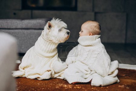 Foto de Niño pequeño con su lindo perro de compañía con suéter caliente en casa - Imagen libre de derechos