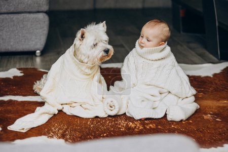 Téléchargez les photos : Petit garçon avec son chien de compagnie mignon portant un pull chaud à la maison - en image libre de droit