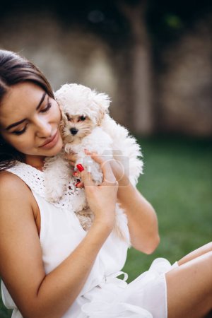 Téléchargez les photos : Belle femme tenant son petit chien maltipa - en image libre de droit