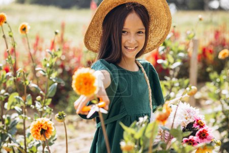 Photo for Cute little girl gathering flowers - Royalty Free Image