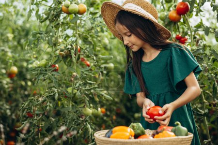 Photo for Girl in green house with basket full of vegetables - Royalty Free Image