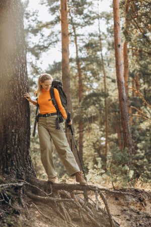 Foto de Mujer senderismo con bastones en el bosque detenido por el árbol - Imagen libre de derechos