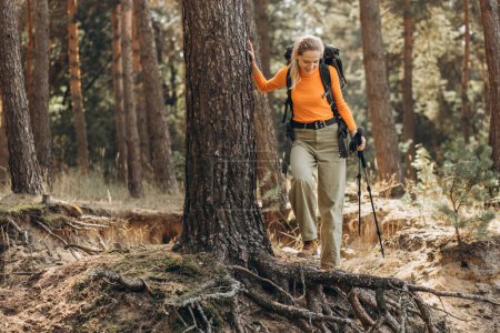 Téléchargez les photos : Femme randonnée avec des bâtons de marche dans la forêt arrêtée par l'arbre - en image libre de droit