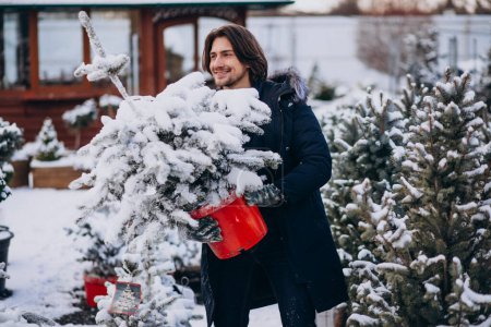 Téléchargez les photos : Bel homme choisir un arbre de Noël - en image libre de droit