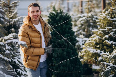 Foto de Hombre guapo eligiendo un árbol de Navidad en un invernadero - Imagen libre de derechos