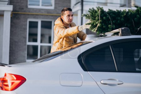 Téléchargez les photos : Bel homme chargement arbre de Noël sur la voiture - en image libre de droit