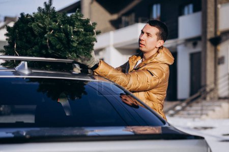 Téléchargez les photos : Homme livrant arbre de Noël sur le dessus de la voiture - en image libre de droit