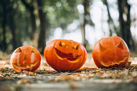 Téléchargez les photos : Citrouilles d'Halloween dans une forêt d'automne - en image libre de droit