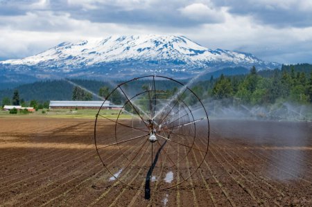 Foto de La agricultura puede ser hermosa. Estos aspersores de granja no solo son intrigantes por su cuenta, pero hacer su trabajo importante con una vista increíble de Mt. Adams.. - Imagen libre de derechos