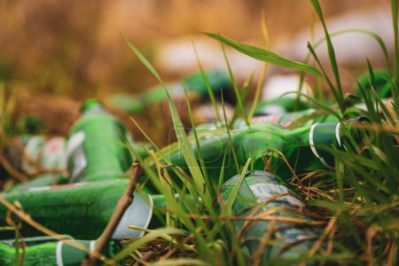 Bouteilles vertes vides dans l'herbe