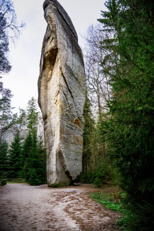 Large Rock in Adrspach Teplice Forest