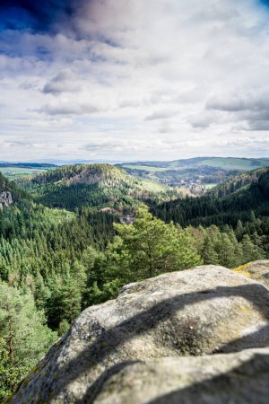 Une vue panoramique d'une forêt dans une perspective élevée