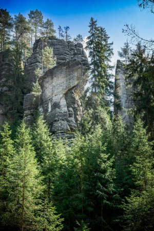 Téléchargez les photos : Forêt dense et hautes roches à la formation de Teplice Rock d'Adrpach - en image libre de droit