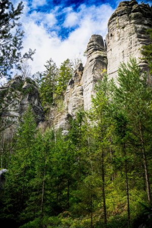 Téléchargez les photos : Forêt dense avec de grands rochers à Adrspach Teplice, République tchèque - en image libre de droit